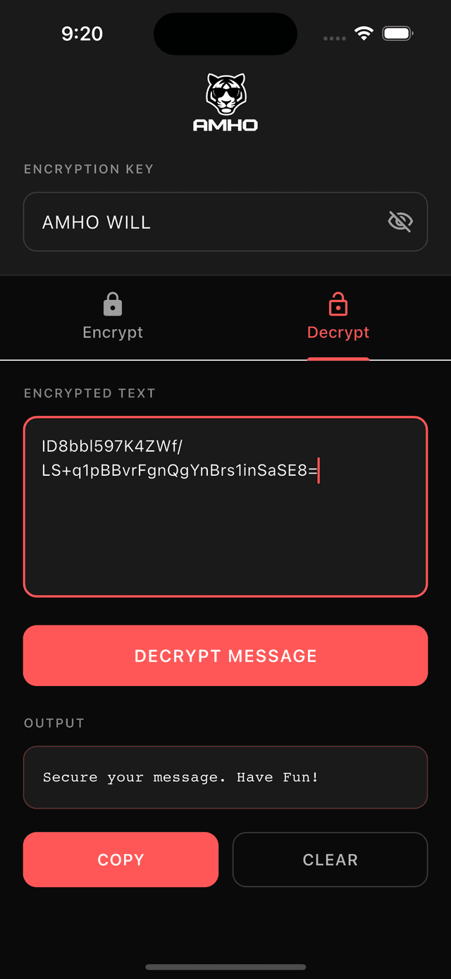 Decrypt screen